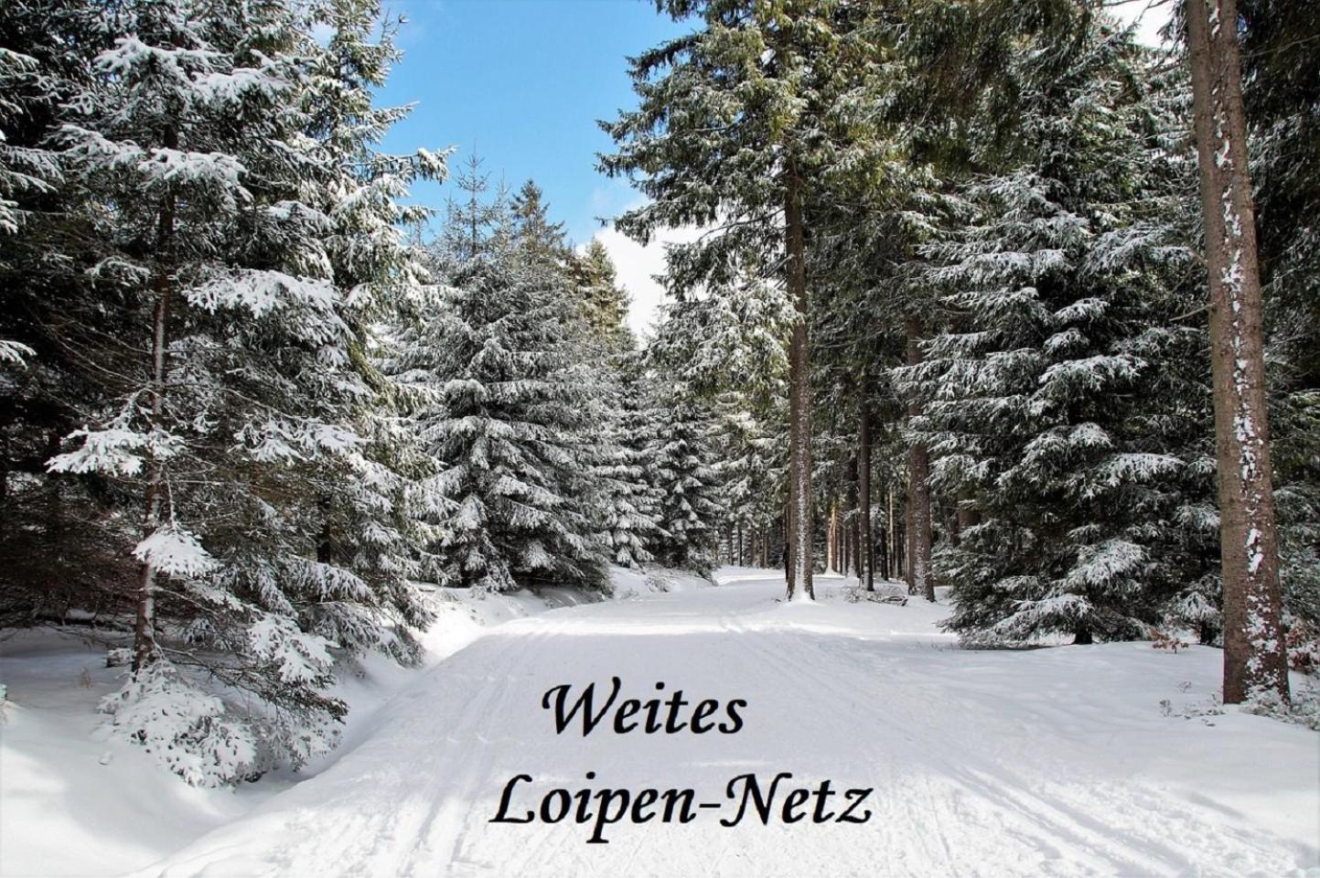 Helle Am Waldrand - Mit Balkon, Pool & Sauna Apartment *