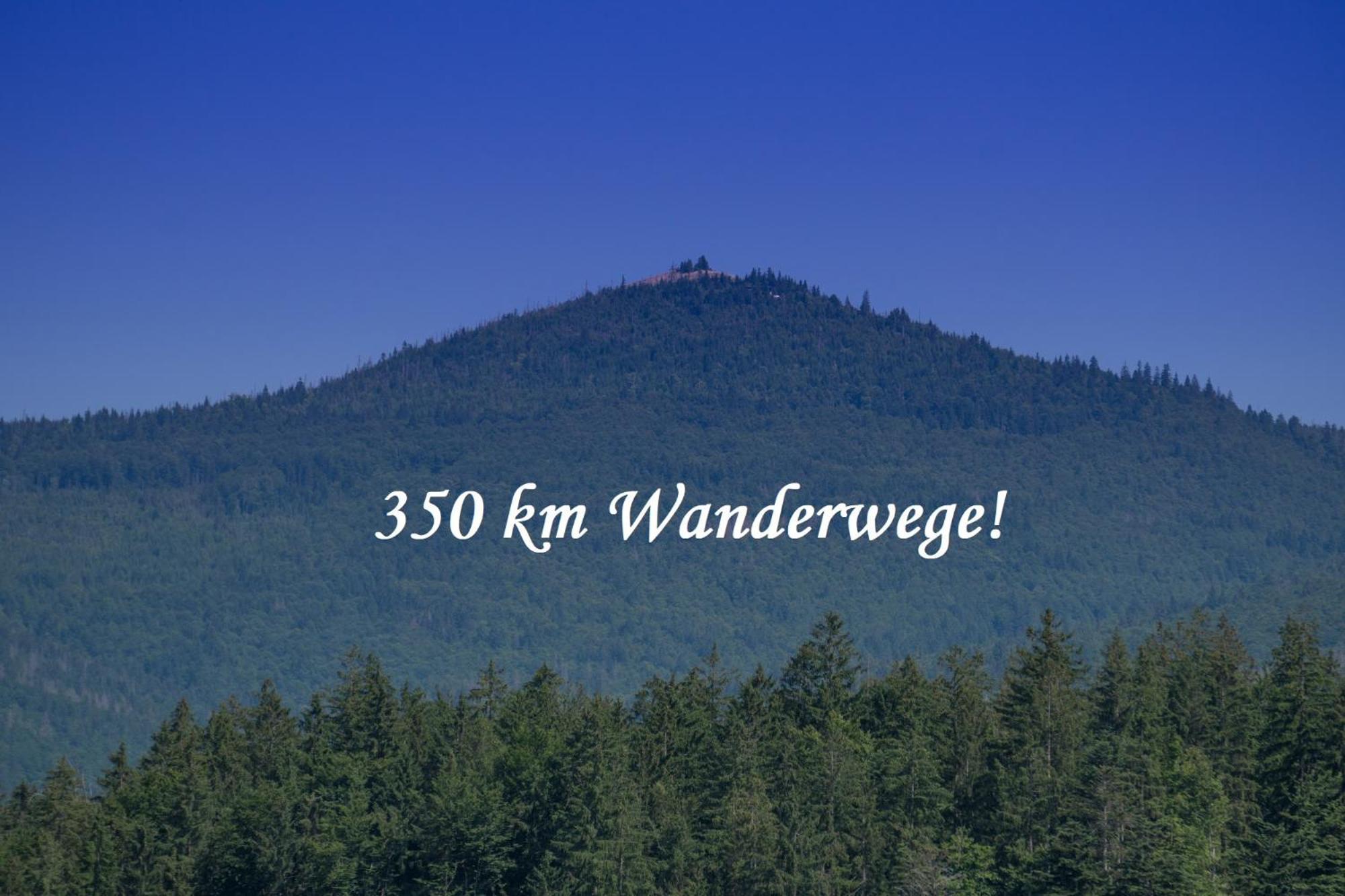 Helle Am Waldrand - Mit Balkon, Pool & Sauna Apartment *