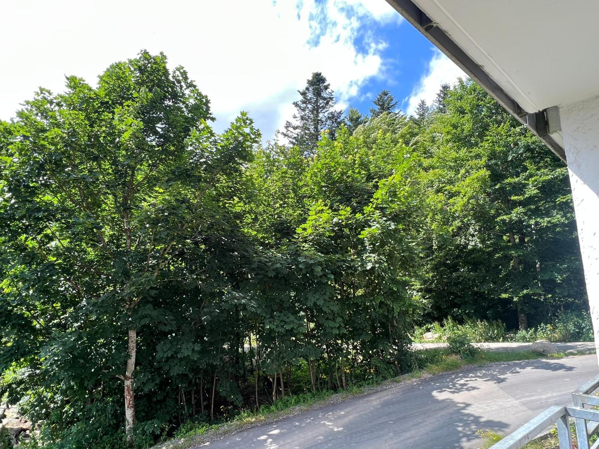 Helle Am Waldrand - Mit Balkon, Pool & Sauna